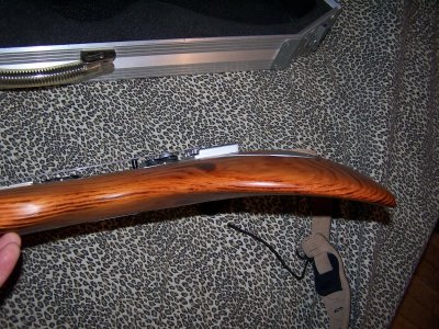 Andreas Shark 015.JPG