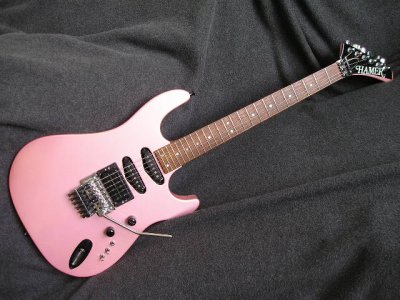 pinkchapp.jpg pinkchapp.jpg