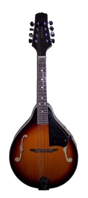Galveston Mandolin.jpg Galveston Mandolin.jpg