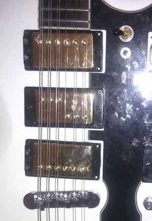 IMAG0092 cropped.jpg