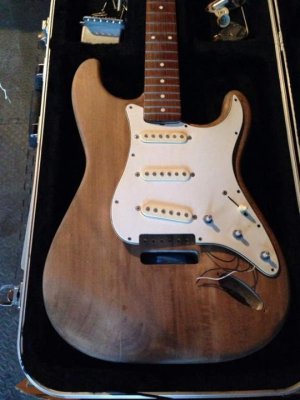 walnut strat.jpg