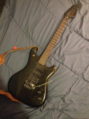 Westone Spectrum LX (01) Before.jpg