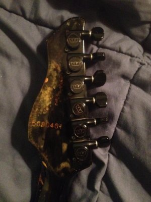 Westone Spectrum LX (06) Before.jpg