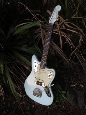 Jungle surf solo.jpg