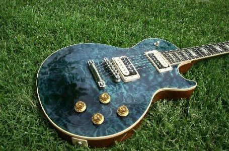 Gibson Les Paul Classic Plus Custom Shop Peacock.jpg