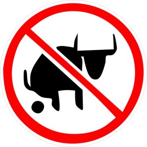 no-bull.jpg