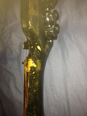 Westone Spectrum LX (26) After.jpg