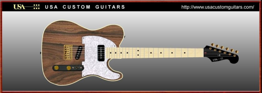 Brian's USA Custom Telecaster.jpg
