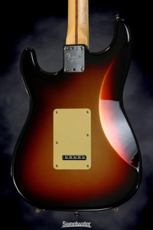stratbodyback.jpg stratbodyback.jpg