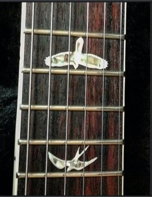 Screen Shot 2015-10-29 at 3.46.33 PM.jpg