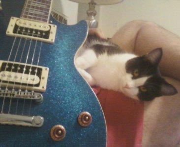 Trip Les Paul.jpg Trip Les Paul.jpg