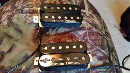 received_1484311381871777.jpg received_1484311381871777.jpg