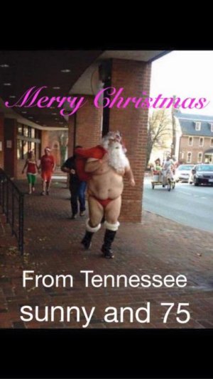 Christmas 2015.jpg Christmas 2015.jpg