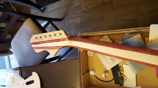 Phx Neck.jpg Phx Neck.jpg