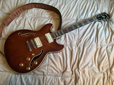 BWG Ibanez Artcore AS83 (Rachel) 07.jpg