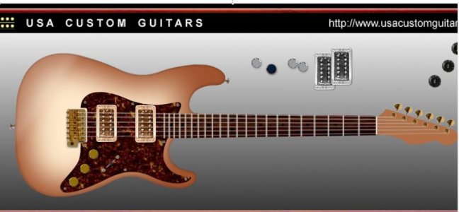 Custom Guitar.jpg