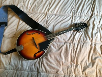 BWG Galveston Mandolin (Mandy) 02.jpg