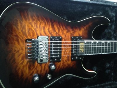 ESP Horizon FR ii body.jpg ESP Horizon FR ii body.jpg