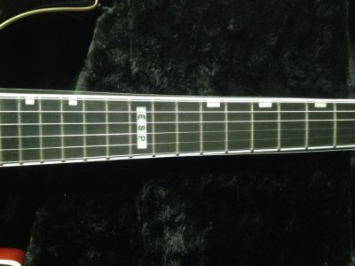 ESP Horizon FR ii Fretboard.jpg ESP Horizon FR ii Fretboard.jpg