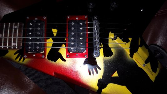 Mustaine Pickups.jpg