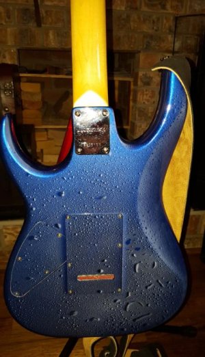 Ibanez Back copy.jpg