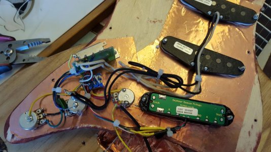 Treblemaker-Wiring-close.jpg