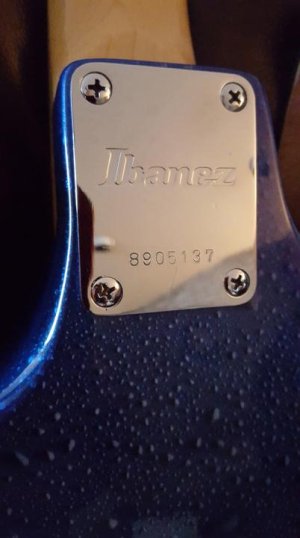 Ibanez SN.jpg Ibanez SN.jpg