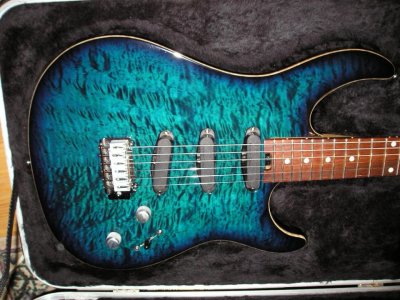 Peavey 3.jpg