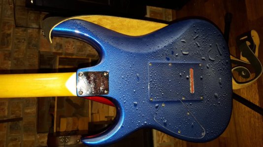Ibanez Back.jpg