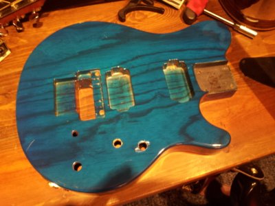 wolfgang body top accurate color.jpg