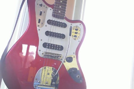 Couguar4.jpg Couguar4.jpg