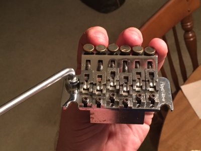 FLOYD ROSE 3.JPG