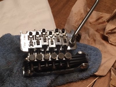 FLOYD ROSE 2.JPG