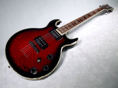 Schecter-Diamond-Elite-2.jpg