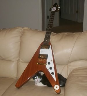 Gibson Flying V Natural Mahogany.jpg