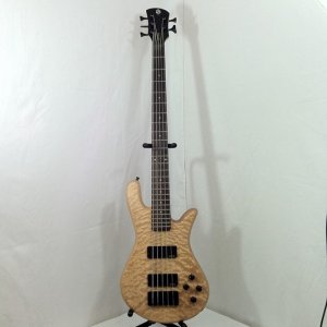spector 01.jpg