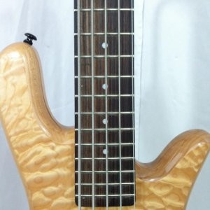 Spector 02.jpg