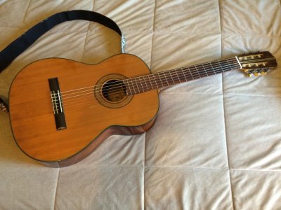 BWG Estrada Deluxe Classical Guitar (Anita) 03.jpg