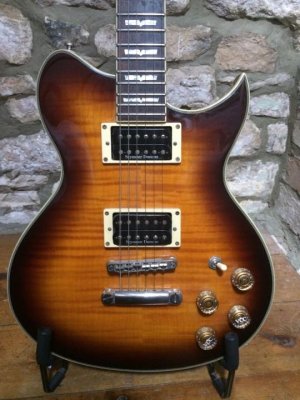 washburn 166pro2.jpg