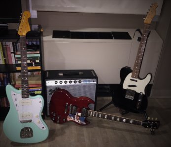 IMG_1340 (800x692).jpg