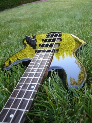 Warmoth 1c.jpg