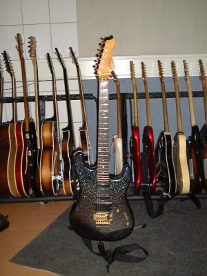 Claim Field4 -Black Sparkle.jpg