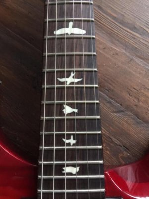 image3.jpg image3.jpg