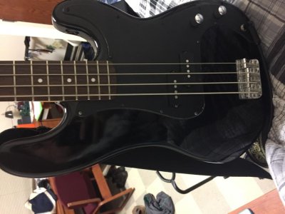 P Bass.jpg