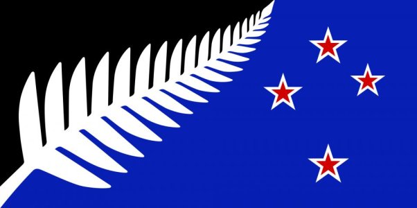 NZ_flag_design_Silver_Fern_(Black,_White_&_Blue)_by_Kyle_Lockwood.svg.jpg NZ_flag_design_Silver_Fern_(Black,_White_&_Blue)_by_Kyle_Lockwood.svg.jpg