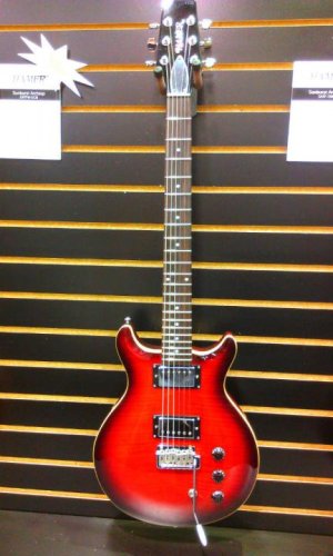 HAMER-2.jpg HAMER-2.jpg