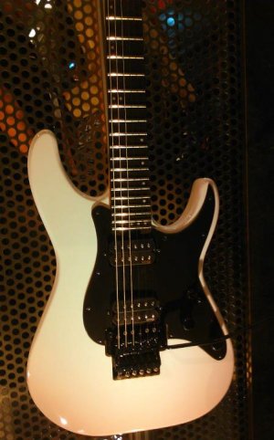 SCHECTER-1.jpg