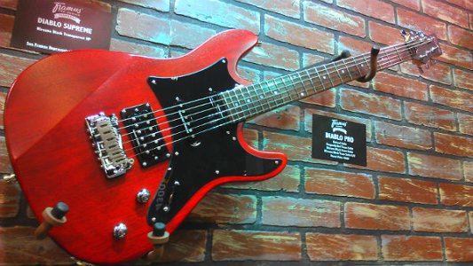 FRAMUS-1.jpg