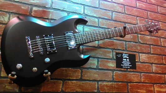 FRAMUS-3.jpg