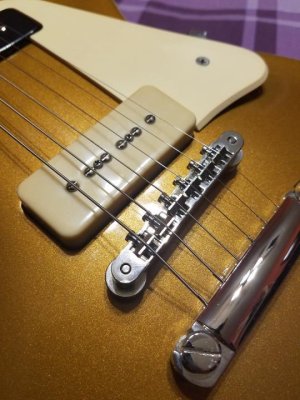 20170130_223322.jpg